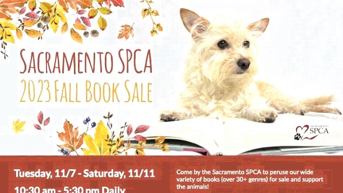 Spca store florin perkins