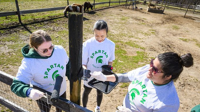 The Equine Center for Learning details