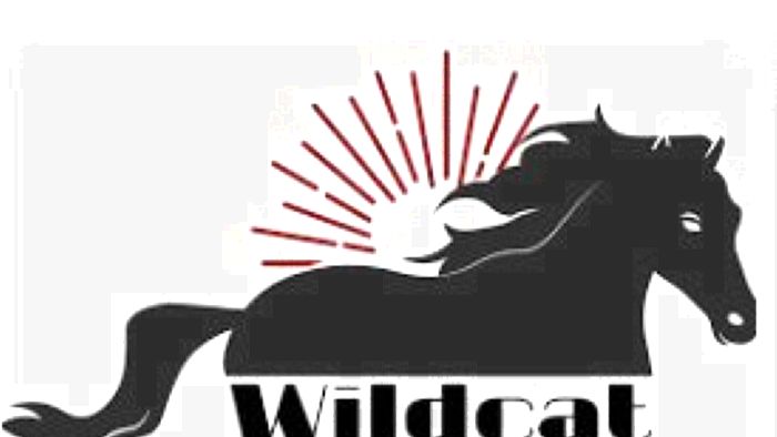 AZ Spartans | Wildcat Horse Ranch - From the Ground Up Volunteer Project details