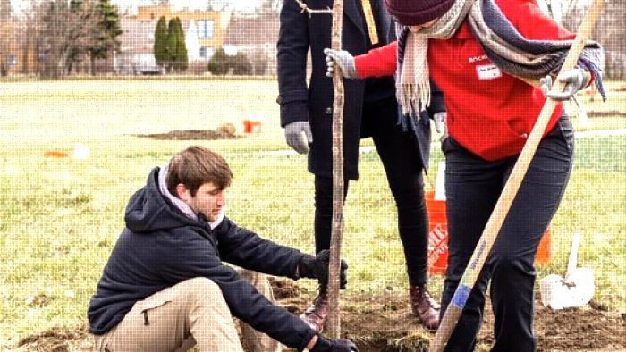 Detroit Spartans | Dorais Playground Community Tree Planting details