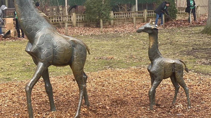 LSS | Potter Park Zoo - Fall Clean Up